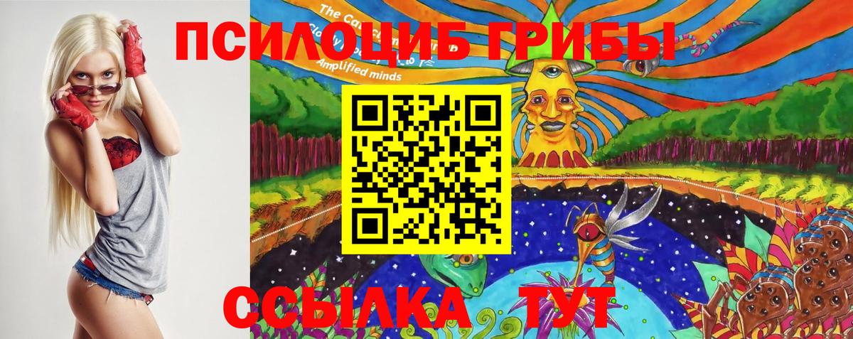 Псилоцибиновые грибы Cubensis  купить наркоту  Минеральные Воды  Вход с VPN 